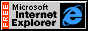 [Internet Explorer Logo]