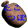 �����Ĥܤγ�